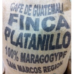 Guatemala Finca El Platanillo 100% Maragogype