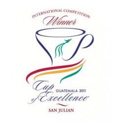 Guatemala Cup of Excellence Lot 18 San Julian