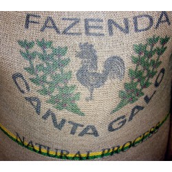 Br&eacute;sil BSCA Fazenda Canta Galo 100% Rubi