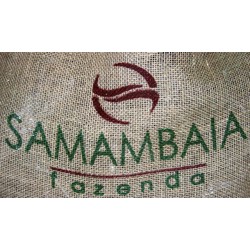 Br&eacute;sil Fazenda Samambaia