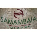 Brésil Fazenda Samambaia