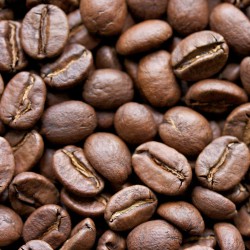 Salvador Finca La Fany