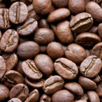 Salvador Finca La Fany