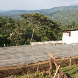 Ethiopie Yirgacheffe Wote