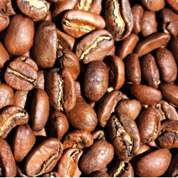 Equateur Las Tolas Pacamara