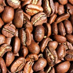 Equateur Las Tolas Pacamara