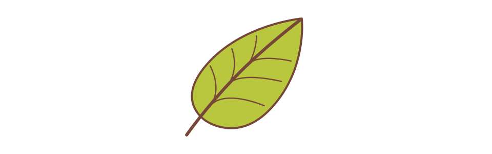 Bio