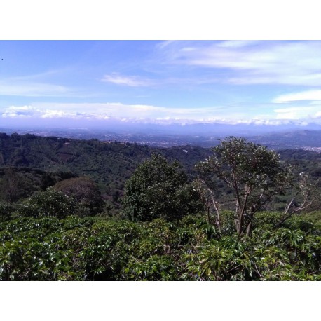 Costa Rica Finca El Mirador