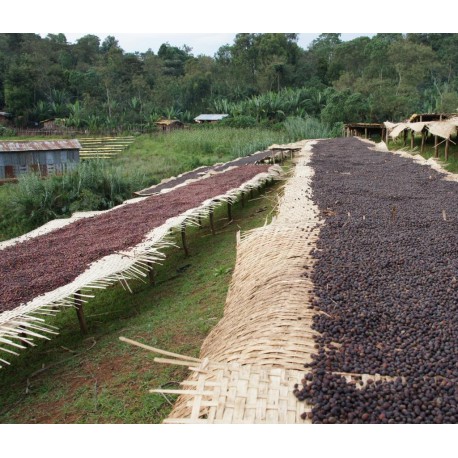 Ethiopia Yirgacheffe Burtukaana