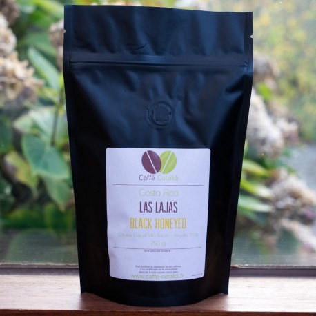 Costa Rica Las Lajas Black Honeyed