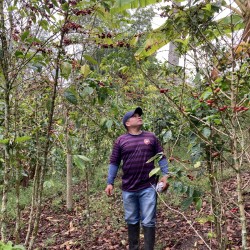 Colombia La Esmeralda