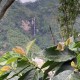 Colombie La Esmeralda