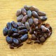 Cacao El Salvador Finca Parras Lempa